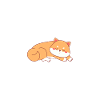 Shiba Inu