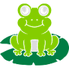 Cute frog sits water lily