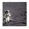 Astronaut on the moon