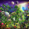 Dreamylife V4