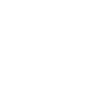 Little Brother