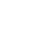 Chapitre 45 - Guépard