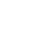 100 Days Of Kindergarten - Cheetah