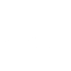 100 Days Y'All - Cheetah