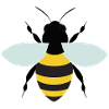 Bee Illustration Gift Idea