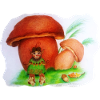 Waldtroll Märchen Pilz