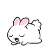 Sleeping Rabbit Sleeping Pajama Rabbit