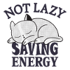 Not lazy, Saving Energy Cat