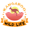 Kangaroo Wild Life