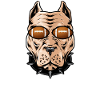football américain quaterback tackle linebacker
