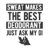 BJJ Jiu Jitsu