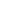 Ghost Hunters