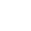 Ghost Hunters