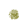 Mistakes help us grow