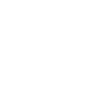 Ghost Hunters