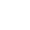 Bullterrier Papa