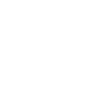 Kooikerhondje Papa