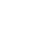 Magyar Vizsla Papa