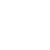 Shetland Sheepdog Papa