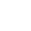 Poméranie Zwergspitz Papa