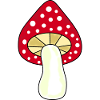 Toadstool, mushroom in the woods gift