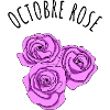 Pink October Roses