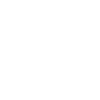 Quarter Horse 2