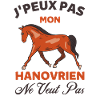 HANOVRIEN 1