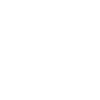 Cheval pottok 1