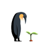 Penguin with plant