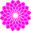 Rose Lotus