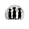Suricate Lune Suricate