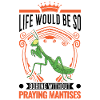 Gottesanbeterin Geschenk Mantis Fangschrecke