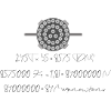 Star ship raptor