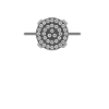 Star ship raptor