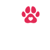 Bouledogue américain