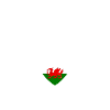 Wales Welsh flag Welsh