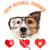 Jack Russell Terrier