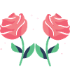 Beautiful Rose