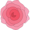 Beautiful Rose