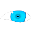 Oeil