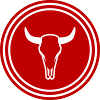 Cow Bull Skull
