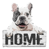 Bulldog Dog Pet Home Bouclier