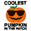 Coolest Pumpkin in the Patch