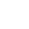 Authentic Brewing Company