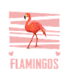 Flamingo Animal Pink
