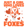 Fox Foxes Animal