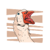 Goose Animal Bird Geese