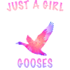Goose Animal Bird Geese