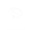 Hérisson Épineux Animal Hérisson